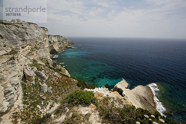 Kreidefelsen  Bonifacio  Korsika  Frankreich  Europa