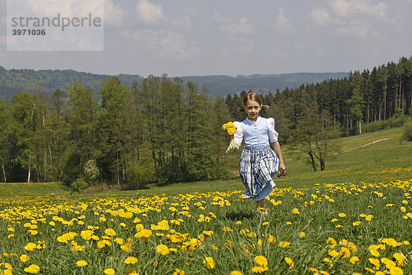 Kind läuft über eine Löwenzahnwiese  Eurasburg  Oberbayern  Bayern  Deutschland  Europa
