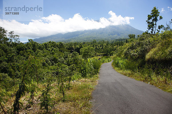 Straße  Vulkan  Mount Agung  2567m  tropischer Nebelwald  Bali  Republik Indonesien  Südostasien