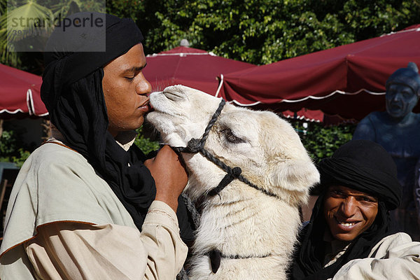Beduine mit Kamel  Yasmine Hammamet  Hammamet  Tunesien  Nordafrika