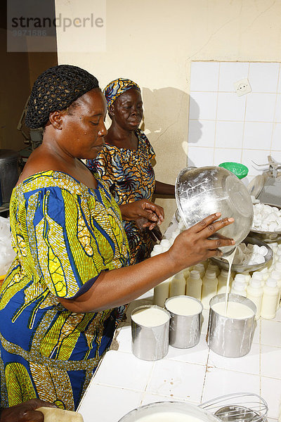 Frauen bei der Herstellung von Joghurt  Molkerei  Maroua  Kamerun  Afrika
