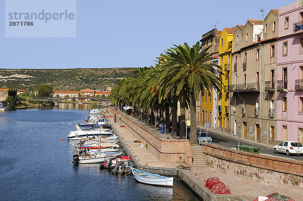 Boote auf dem Fluss Temo und die Altstadt von Bosa  Palmen an der Uferpromenade  Bosa  Oristano  Sardinien  Italien  Europa