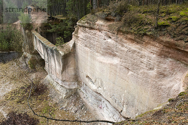 Sandsteinbruch bei Roth  Nürnberg  Deutschland  Europa