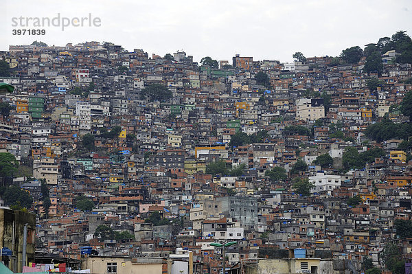 Favela in Rio de Janeiro  Brasilien