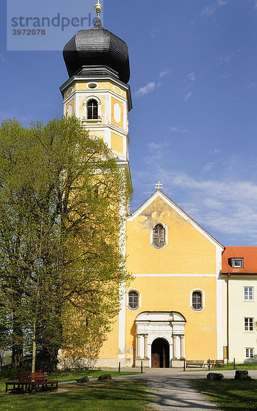 Kirche St. Martin  ehemalige Stiftskirche der Augustinerchorherren von Bernried am Starnberger See  Oberbayern  Bayern  Deutschland  Europa