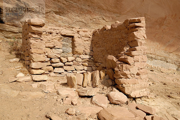 Historische Überreste einer Wohnstätte der Anasazi-Indianer  um 1100 n. Chr.  Cold Springs Cave bei Bluff  Utah  USA