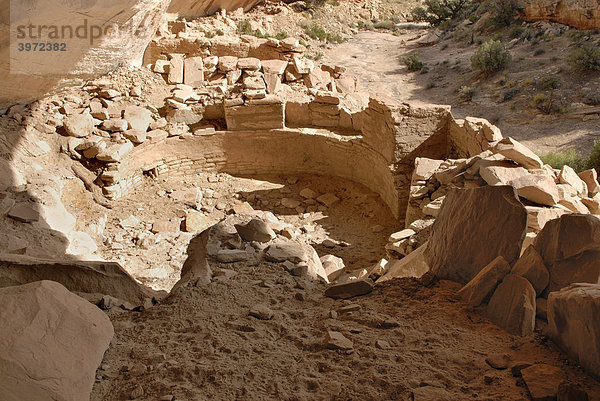 Historische Überreste eines Kiva  Kult- und Wohnstätte der Anasazi-Indianer  um 1100 n. Chr.  Cold Springs Cave bei Bluff  Utah  USA