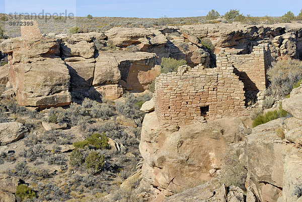 Reste historischer Bauten der Ancestral Puebloans  vorne Unit Type House  links hinten Tower Point  um 1200 n. Chr.  Little Ruin Canyon  Hovenweep National Monument  Colorado  USA