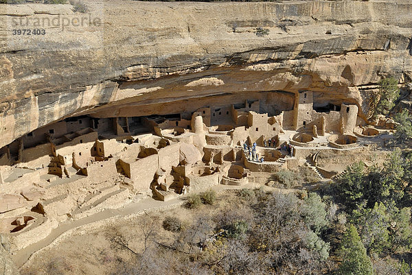 Historische Bauten der Ancestral Puebloans  Cliff Palace Gesamtanlage  Mesa Verde National Park  Colorado  USA
