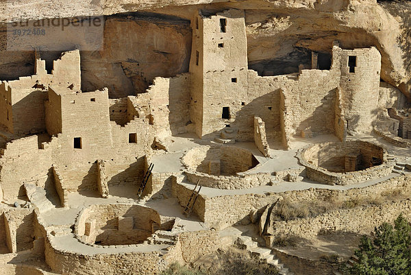 Historische Wohn- und Kultstätte der Ancestral Puebloans  Cliff Palace  Teilansicht mit 3 runden Zeremonienräumen  sog. Kivas  ca. 1200 n. Chr.  Mesa Verde National Park  Colorado  USA
