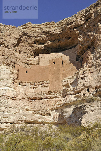 Montezuma Castle  Felsenburg der Sinagua Indianer  um 1300 n. Chr.  Montezuma Castle National Monument  Verde Valley  Upper Sonoran Desert  Highway 17  Arizona  USA