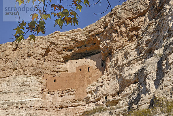 Montezuma Castle  Felsenburg der Sinagua Indianer  um 1300 n.Chr.  Montezuma Castle National Monument  Verde Valley  Upper Sonoran Desert  Highway 17  Arizona  USA