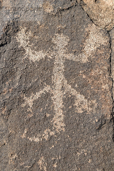 Indianische Ritzzeichnung  Petroglyphe  Tierdarstellung  ca. 1000 Jahre alt  Painted Rock Petroglyph Site  Painted Rocks State Park  Gila Bend  Maricopa County  Arizona  USA
