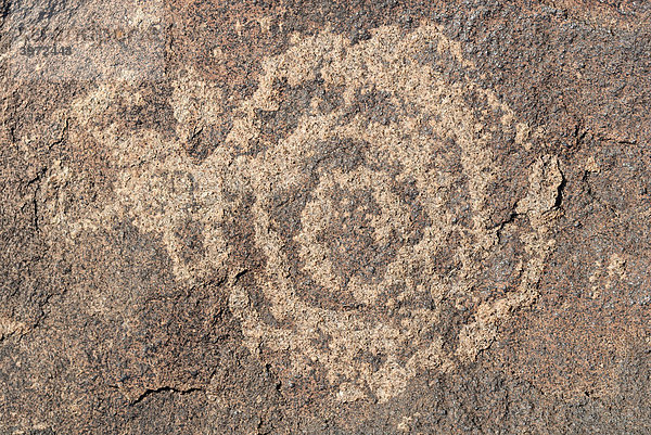 Indianische Ritzzeichnung  Petroglyphe  symbolische Spiralform  ca. 1000 Jahre alt  Painted Rock Petroglyph Site  Painted Rocks State Park  Gila Bend  Maricopa County  Arizona  USA