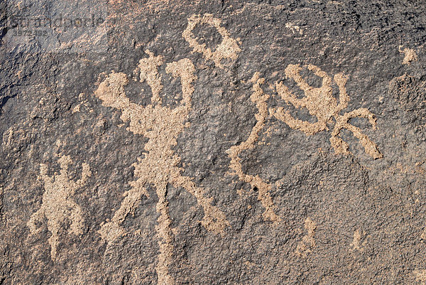 Indianische Ritzzeichnungen  Petroglyphen  Tierdarstellungen  ca. 1000 Jahre alt  Painted Rock Petroglyph Site  Painted Rocks State Park  Gila Bend  Maricopa County  Arizona  USA