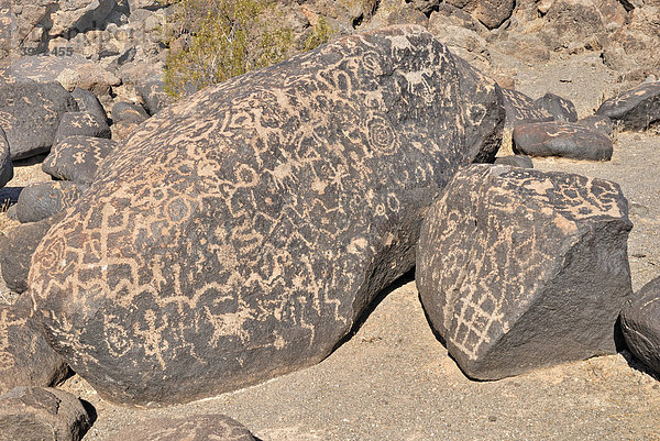 Historische indianische Ritzzeichnungen aus verschiedenen Kulturepochen  Petroglyphen  Painted Rock Petroglyph Site  Painted Rocks State Park  Gila Bend  Maricopa County  Arizona  USA