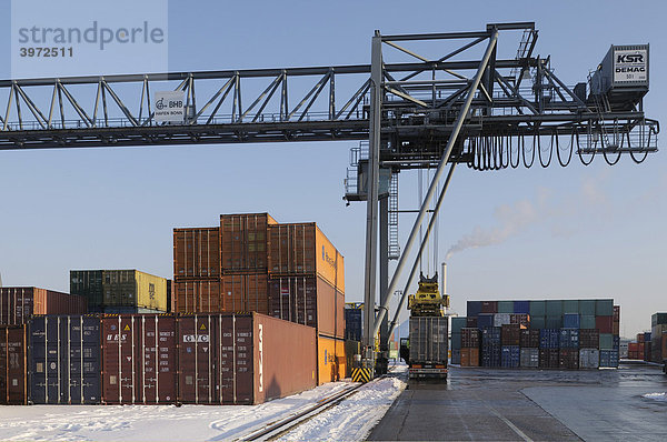 Containerumschlag mit 50 Tonnen Containerbrücke  Container wird auf LKW gesetzt  bimodaler Verkehr  Hafen Bonn  Nordrhein-Westfalen  Deutschland  Europa