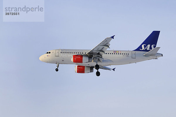 SAS  Scandinavian Airlines  Airbus A319-100 Verkehrsflugzeug mit ausgefahrenem Fahrwerk an blassblauem Himmel