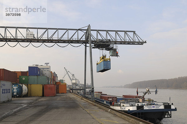 Hafen Bonn  bimodaler Umschlag: Portalkran lädt Container auf Binnenschiff  Containerschiff Magic am Kai  Nordrhein-Westfalen  Deutschland  Europa