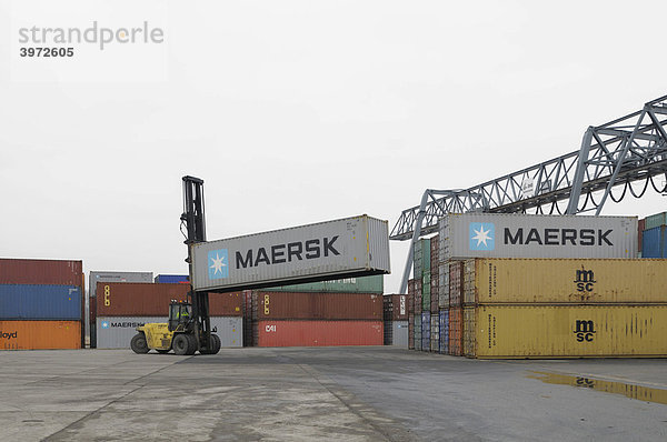 Containerterminal Bonn  Containerstapler fährt mit 40 Fuß Container  Containerumschlag  Nordrhein-Westfalen  Deutschland  Europa