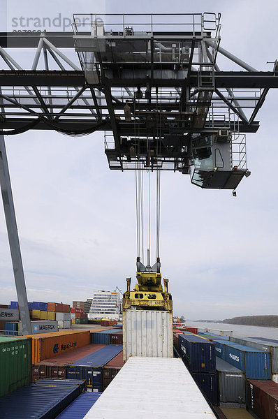 Hafen Bonn  Portalkran stellt Container auf Containerschiff  bimodaler Containerumschlag  Nordrhein-Westfalen  Deutschland