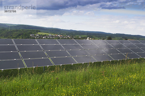 Solarstromanlage auf grüner Wiese  Photovoltaikanlage  Blick auf mehrere in Reihe gestellte Module