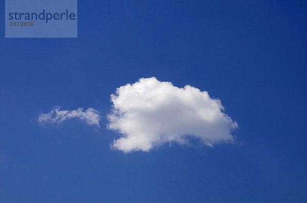 Cumuluswolke mit kleinem Schleier an blauem Himmel