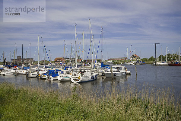 Yachthafen Harlesiel  hinten das Schöpfwerk  Wittmund  Nationalpark Wattenmeer  Ostfriesland  Niedersachsen  Deutschland  Europa