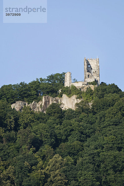 Drachenfels  Ruine der Drachenburg am Rhein  Königswinter  Nordrhein-Westfalen  Deutschland  Europa