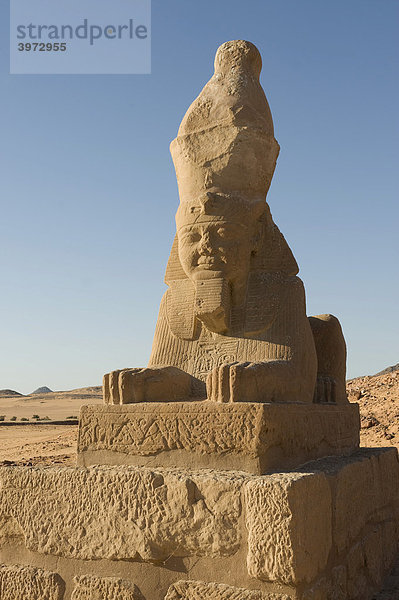 Löwen-Sphinx an der Prozessionsstraße  Wadi Es-Sebua-Tempel  UNESCO Weltkulturerbe  Nassersee  Ägypten  Afrika