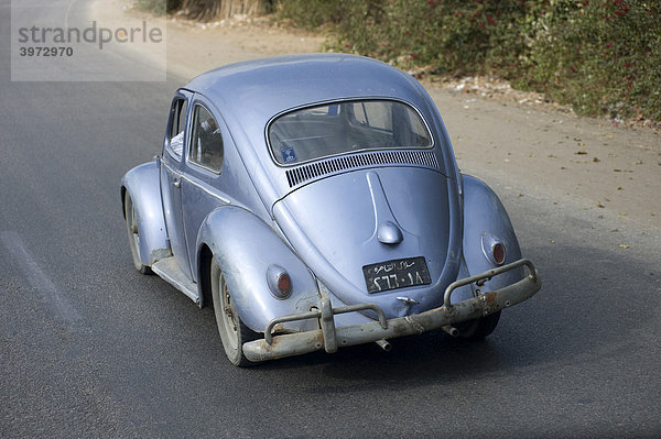 Alter Volkswagen Käfer fährt auf einer Straße  Stoßstange Eigenbau  Rückansicht  Kairo  Ägypten