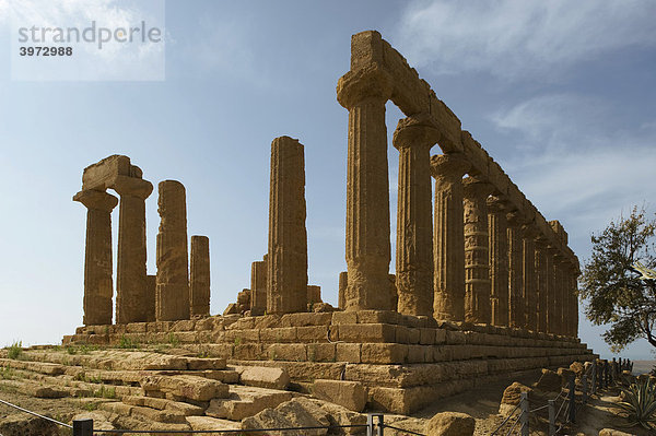 Tempel der Juno Lacinia oder Hera-Tempel  Tal der Tempel  Agrigento  Sizilien  Italien