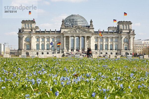 Blumen am Reichstag in Berlin  Deutschland  Europa