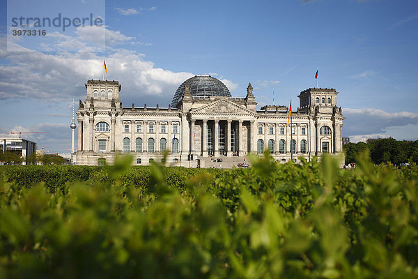Reichstag in Berlin  Deutschland  Europa