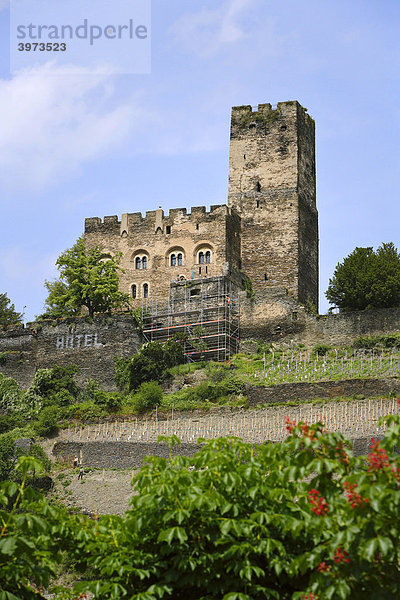 Burg Gutenfels in Kaub  Rheinland-Pfalz  Deutschland  Europa