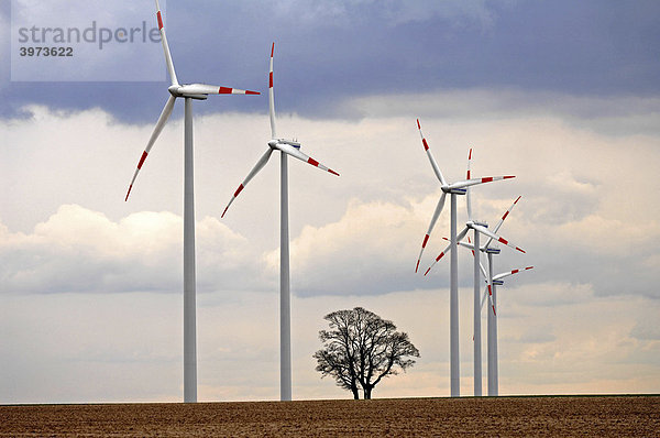 Windgeneratoren mit Baum im Winter  Deutschland
