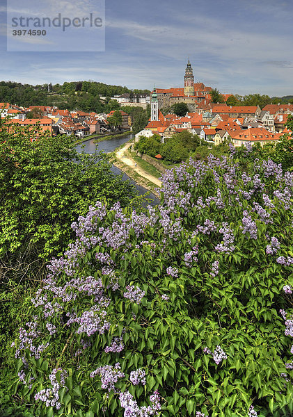 'Blick auf historische Altstadt und Moldau  Vltava  mit Burgturm von Schloss Schwarzenberg  Č