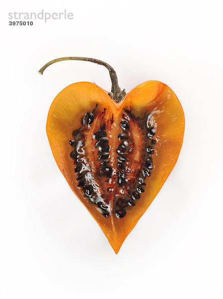 Tamarillo  Baumtomate (Solanum betaceum  syn. Cyphomandra betacea) in Herzform
