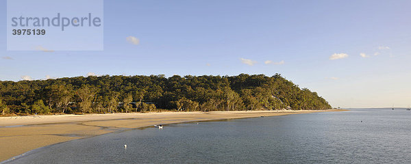 Panoramaaufnahme  Strand  Kingfisher Bay  Eukalyptunswälder  UNESCO Weltnaturerbe Fraser Island  Great Sandy National Park  Queensland  Australien