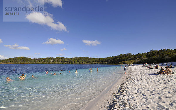 Touristen baden im Lake McKenzie  UNESCO Weltnaturerbe Fraser Island  Great Sandy National Park  Queensland  Australien