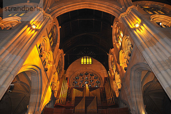 Innenaufnahme Orgel  Eichenholzdecke  zentraler Glockenturm  St. Maryís Cathedral  Sydney  New South Wales  Australien