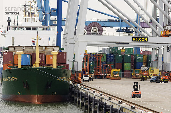 Containerschiff im Hafen von Rotterdam wird entladen  Rotterdam  Niederlande