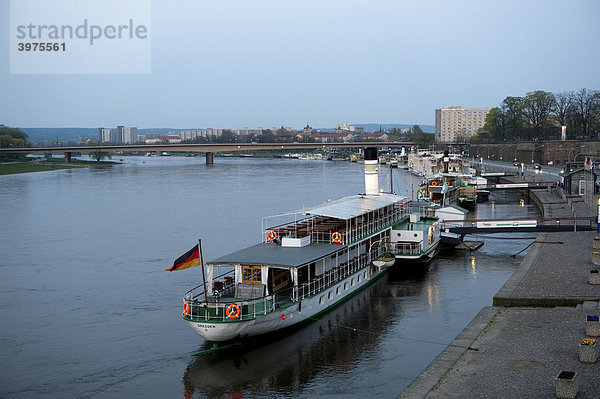 Raddampfer auf der Elbe  Dresden  Sachsen  Deutschland  Europa