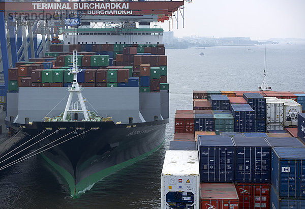 Container  Containerhafen  Burchardkai  Hamburg  Deutschland  Europa
