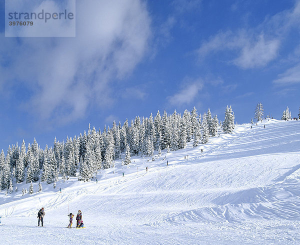 Verschneite Winterlandschaft  Skihang  Skifahrer  Neuschnee  Salzburger Land  Österreich