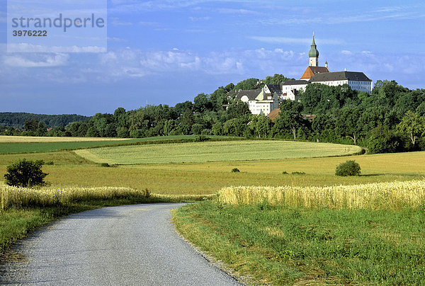 Kloster Andechs bei Herrsching  Feldweg  Getreidefeld  Oberbayern  Bayern  Deutschland  Europa