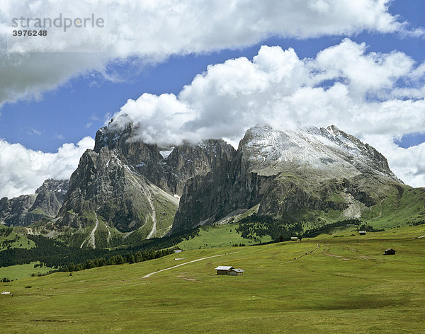 Langkofel und Plattkofel  Seiseralm  Dolomiten  Südtirol  Italien  Europa