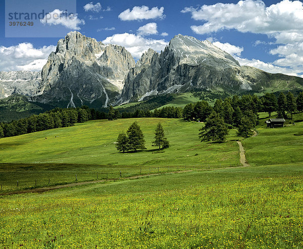 Langkofel und Plattkofel  Dolomiten  Südtirol  Italien  Europa