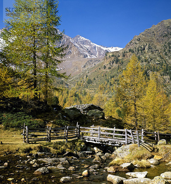 Wanderweg  Weissbrunnalm  Oberes Ultental  Ortlergruppe  Südtirol  Italien  Europa