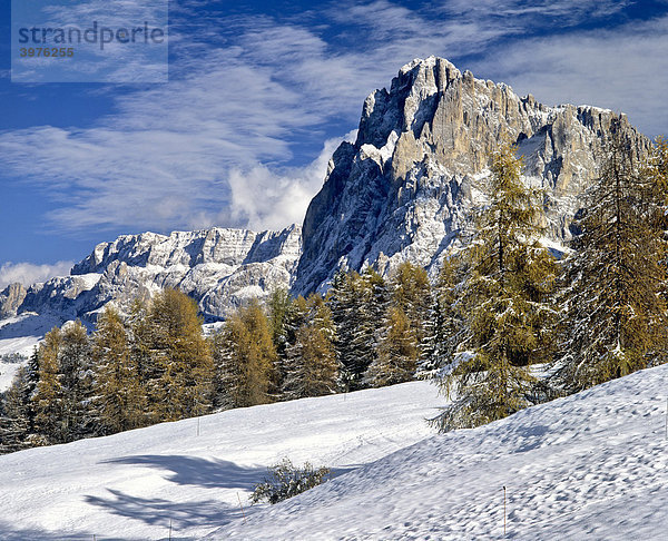 Langkofel  Seiseralm  vor Sella  Winter  Dolomiten  Südtirol  Italien  Europa